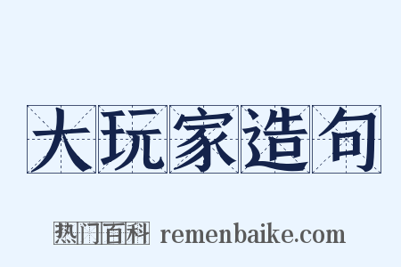 大玩家造句是什么意思的图片
